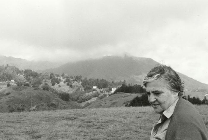 Etel Adnan by Simone Fattal 