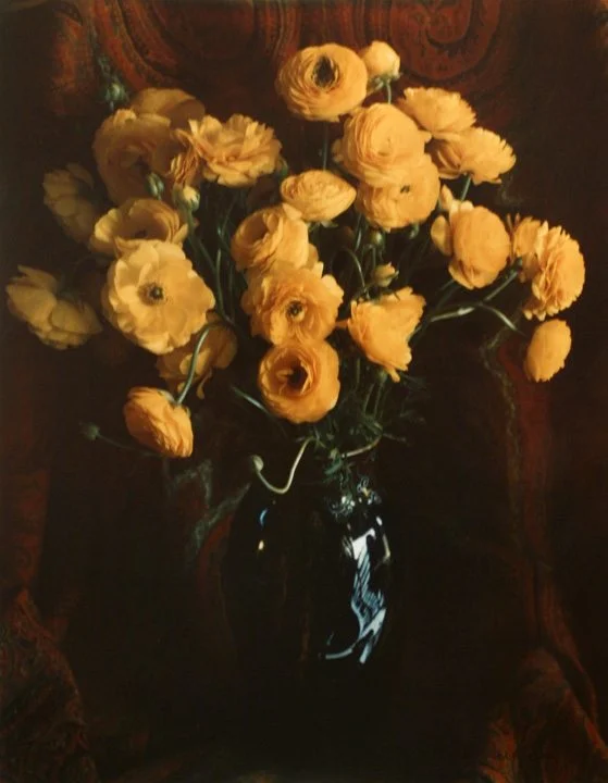 Ranunculus , Los Angeles | ca. 1960 © Estate of Marie Cosindas