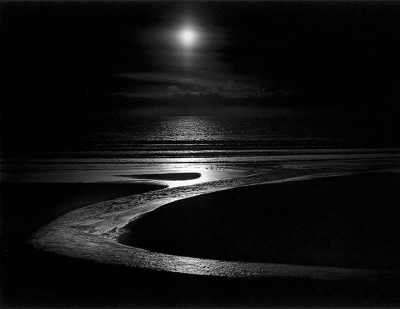 Wynn Bullock, Let There Be Light, 1954