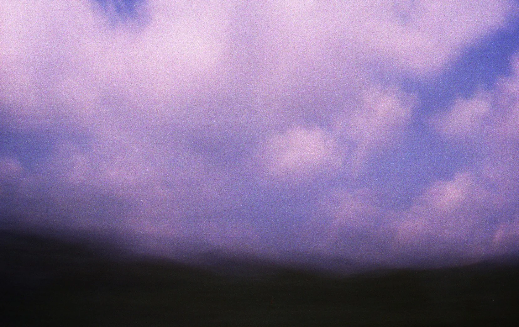 Window Scenes July 2011.jpg
