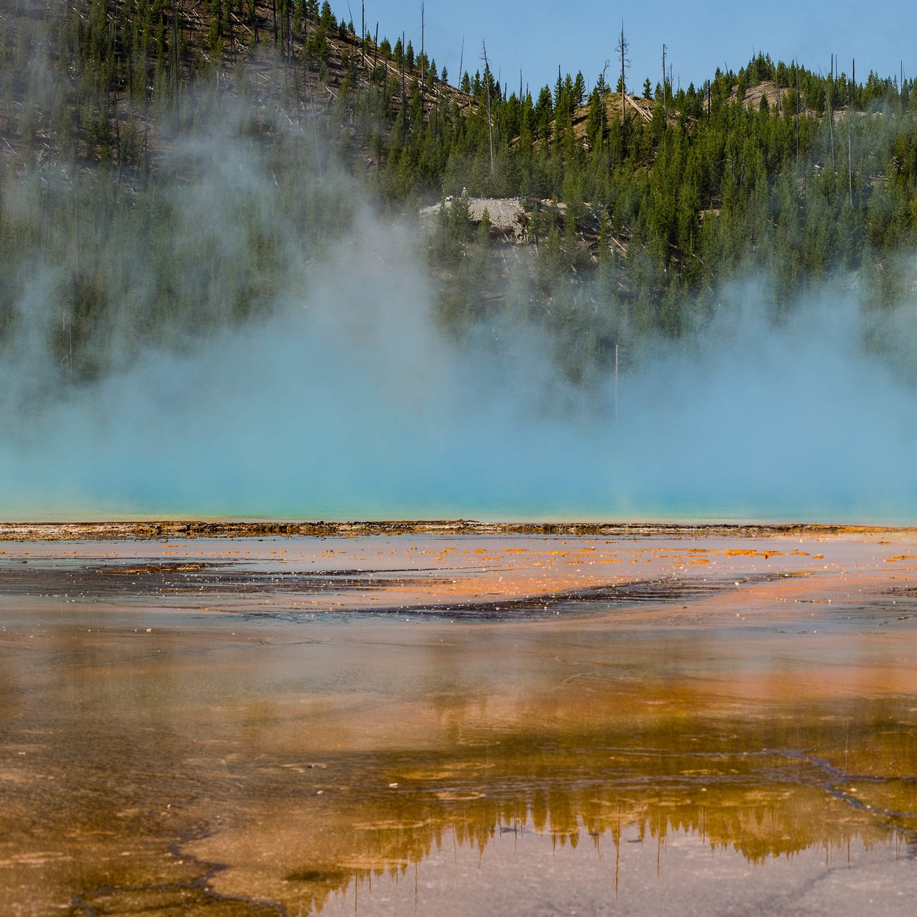Color+Theory+August+2016.jpg