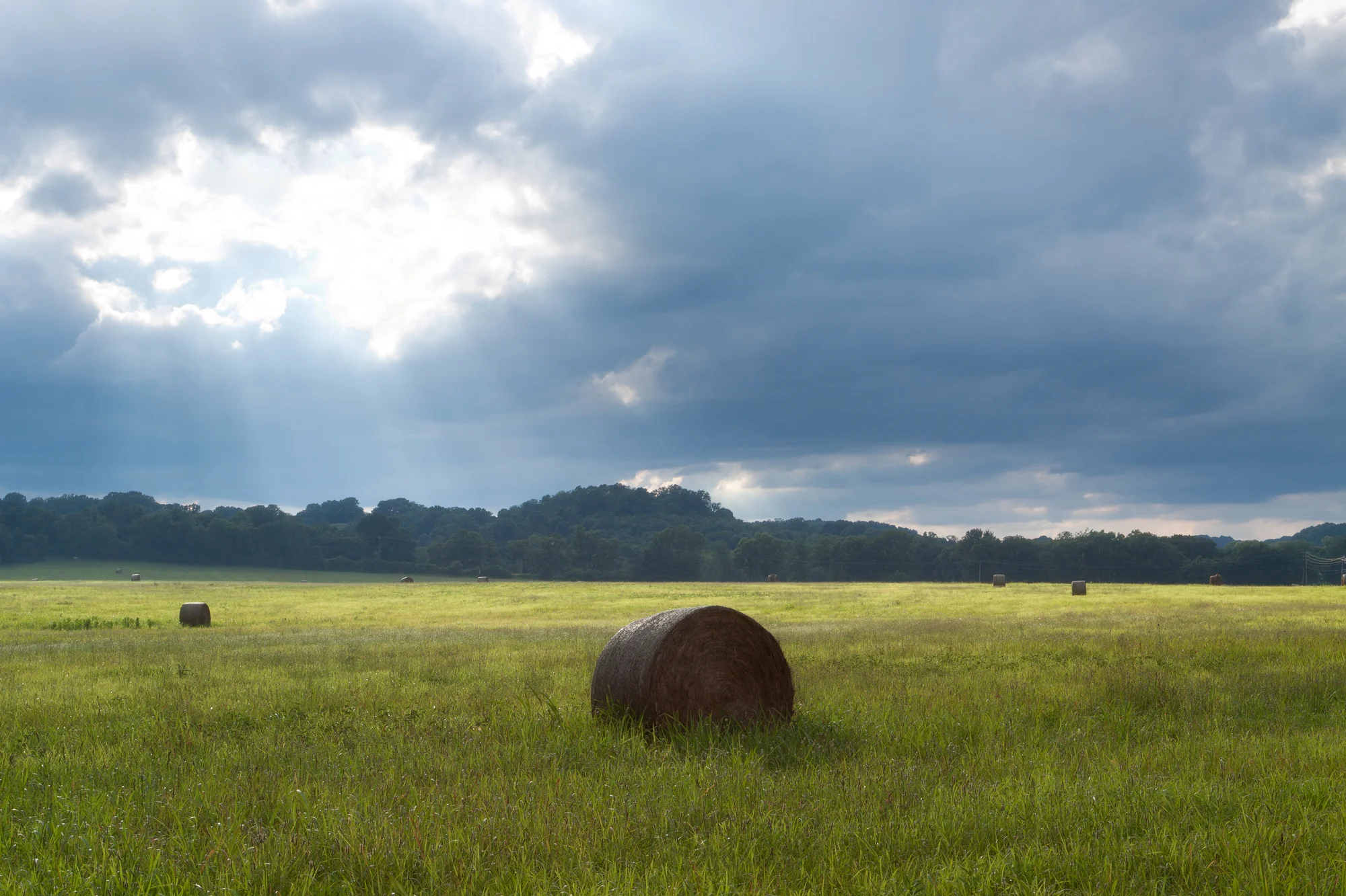 Del_Rio_Hay_Bales 72dp 2000px.jpg