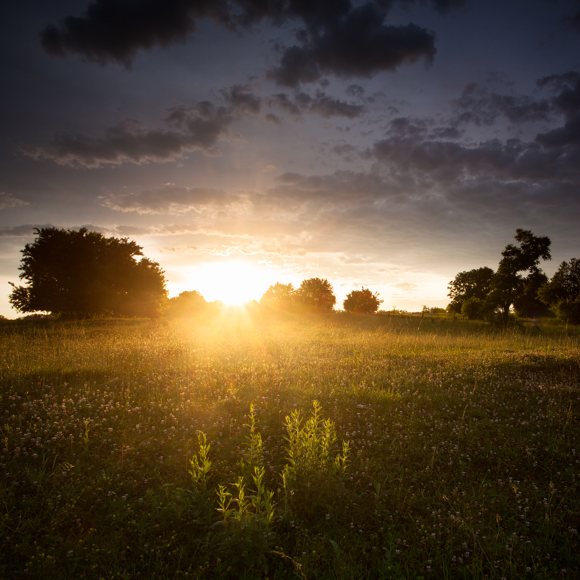 An Evening in June 72dp 2000px.jpg