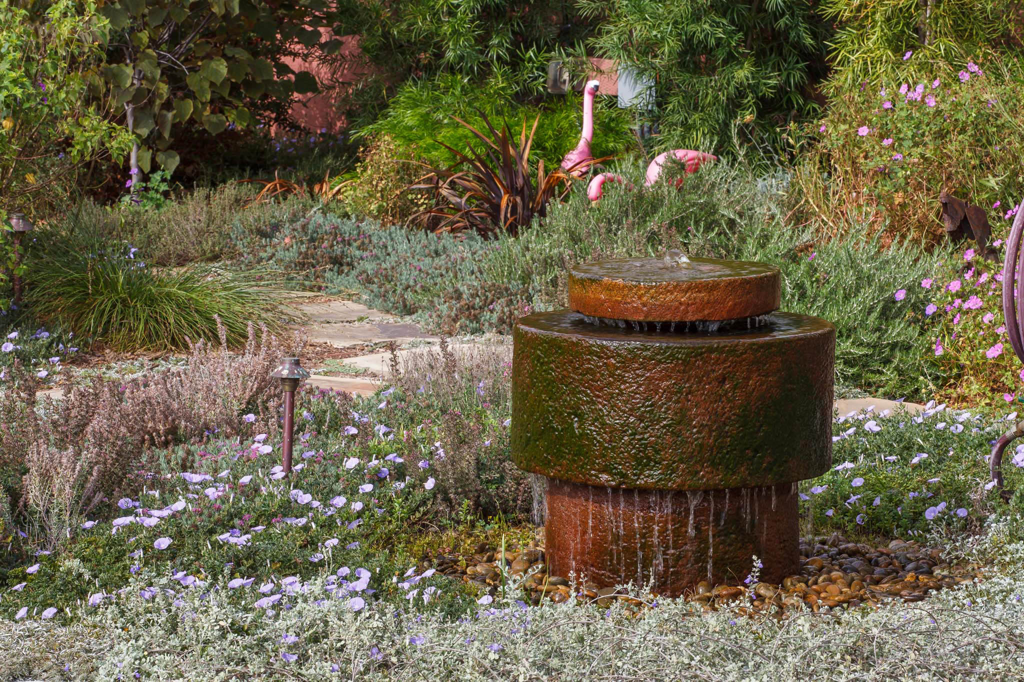 holt_1194_201.jpg
