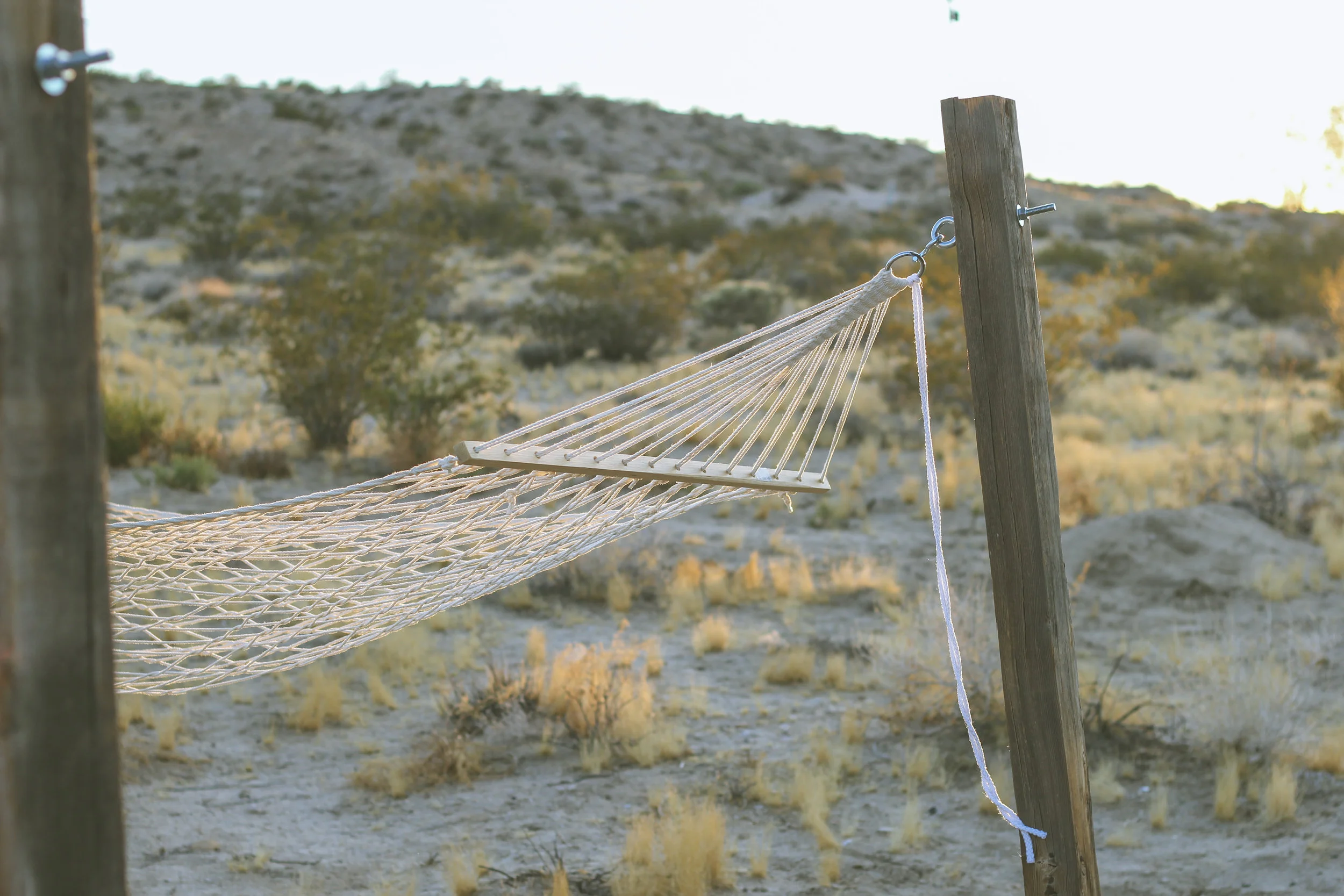 SarahShalenePhotography_JoshuaTree-1 copy.jpg