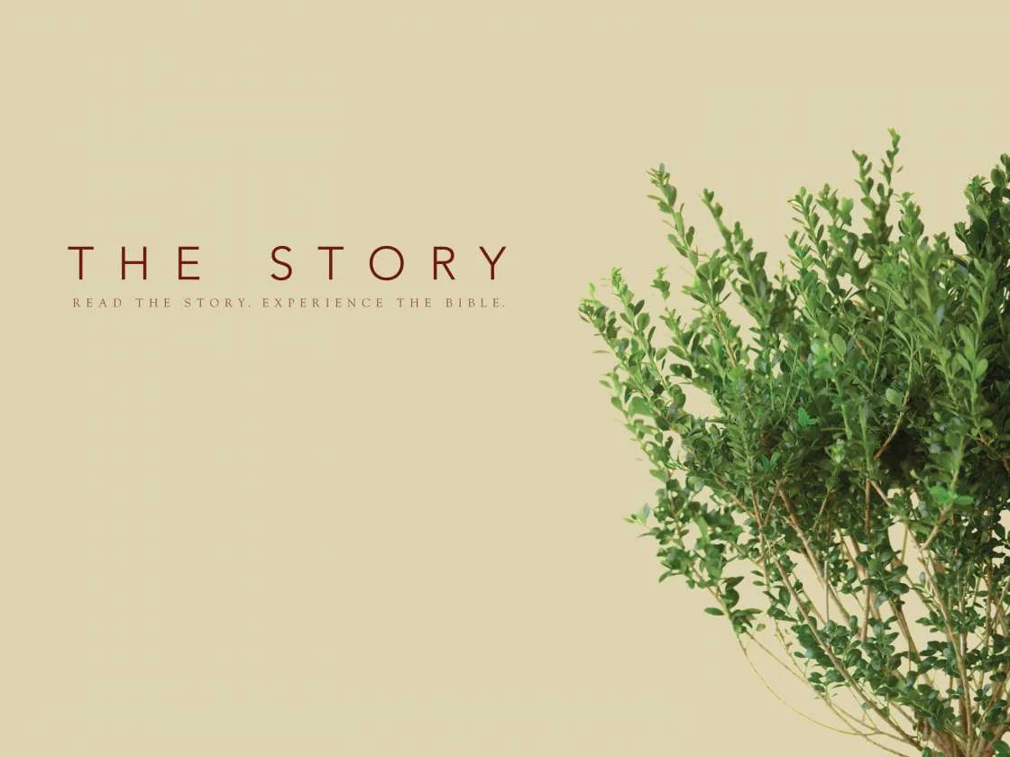 Moses and Deliverance - Chapter 4