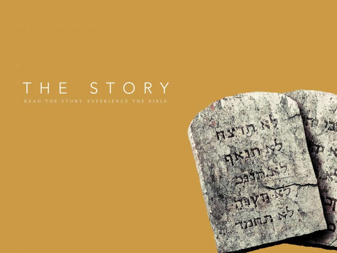 New Command and New Covenant - Chapter 5