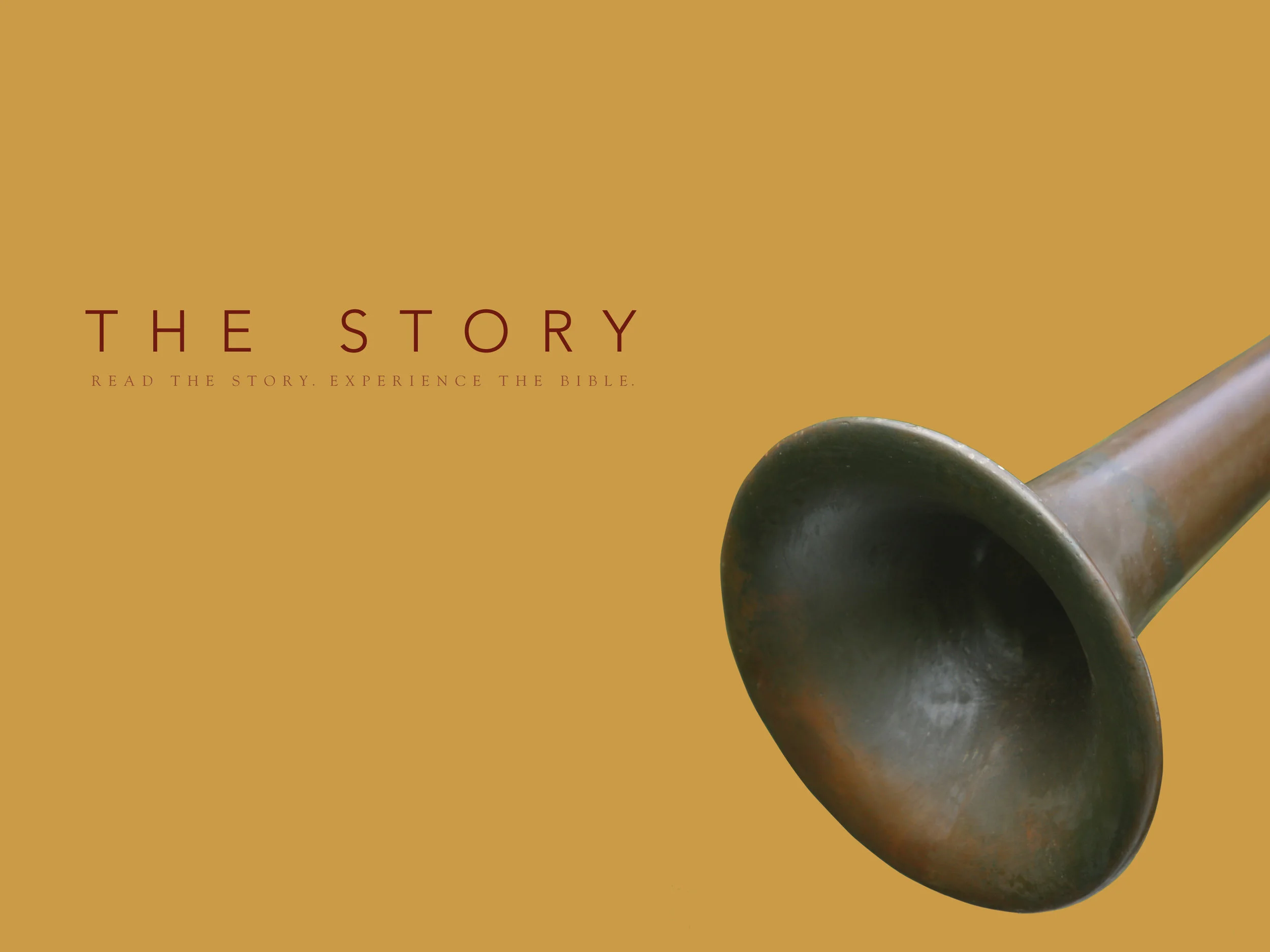 The Battle Begins - Chapter 7