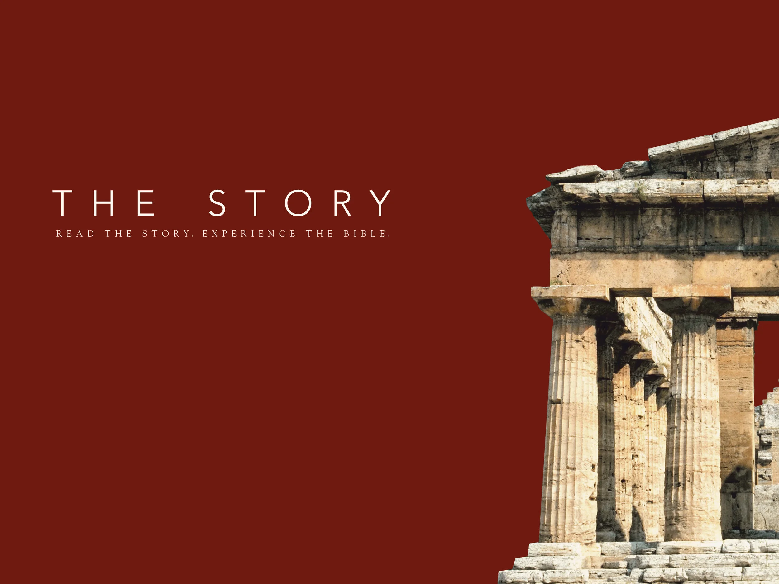 The Return home - Chapter 19