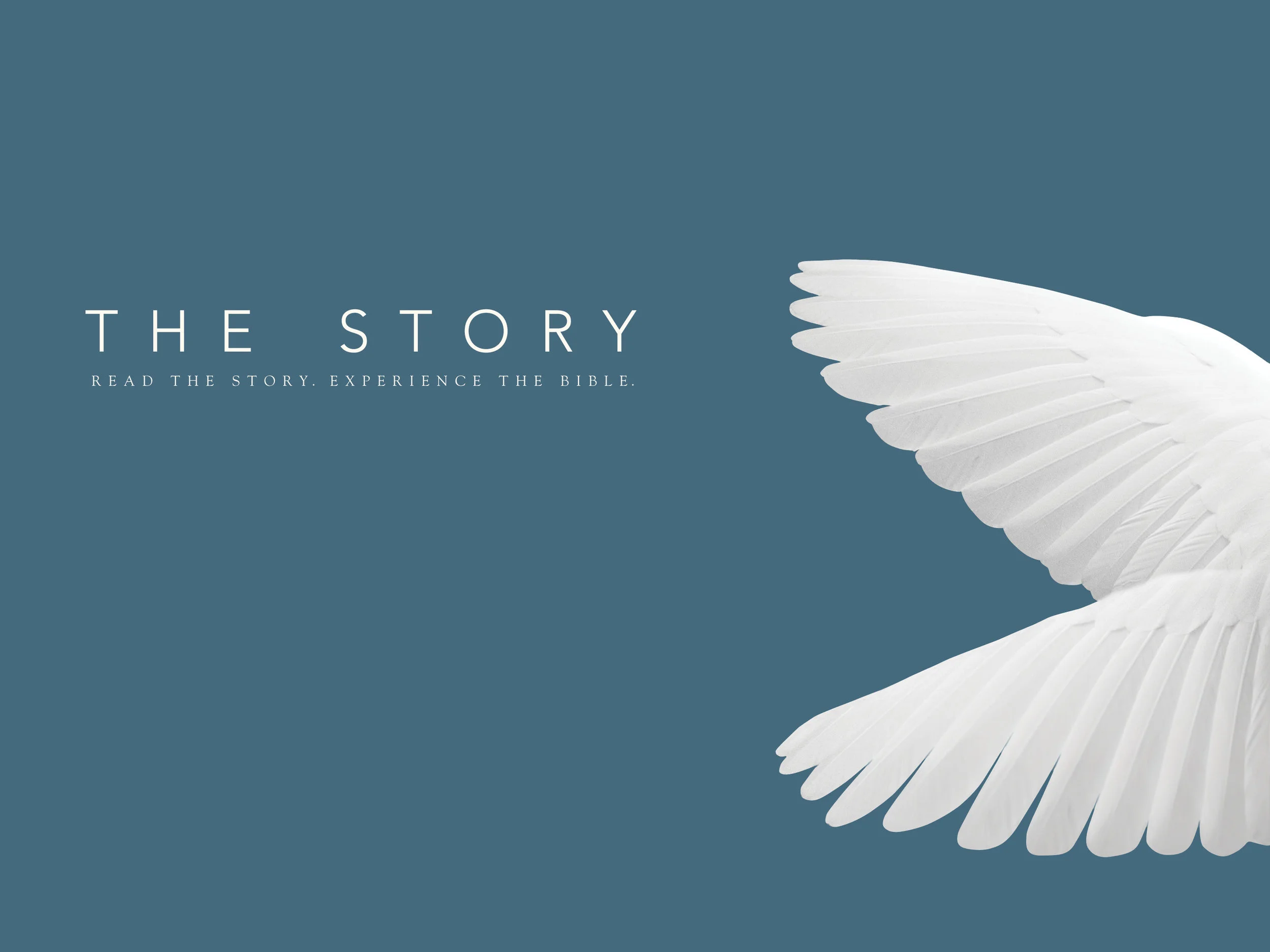 Jesus' Ministry Begins - Chapter 23