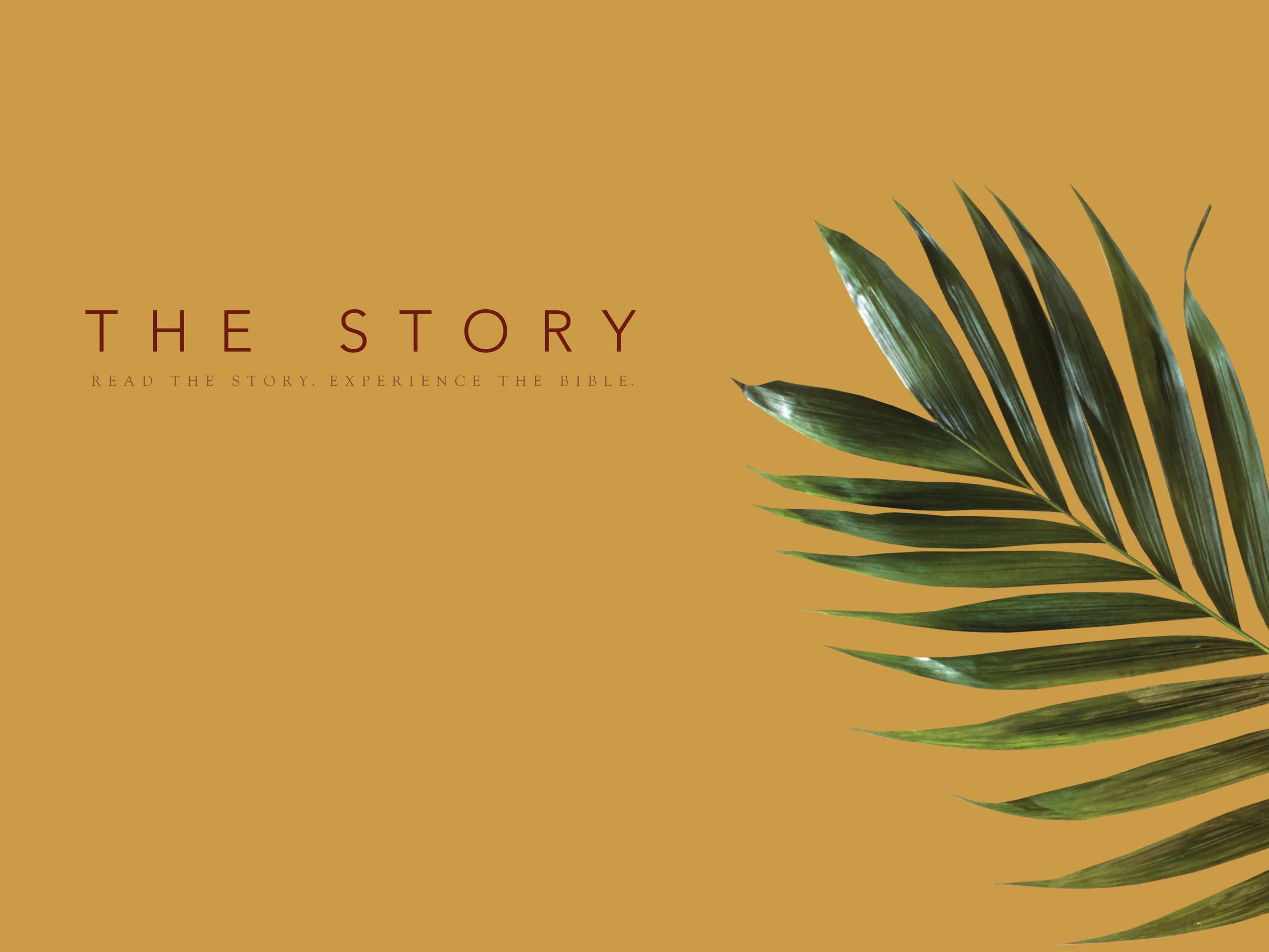 Jesus, the Son of God - Chapter 25