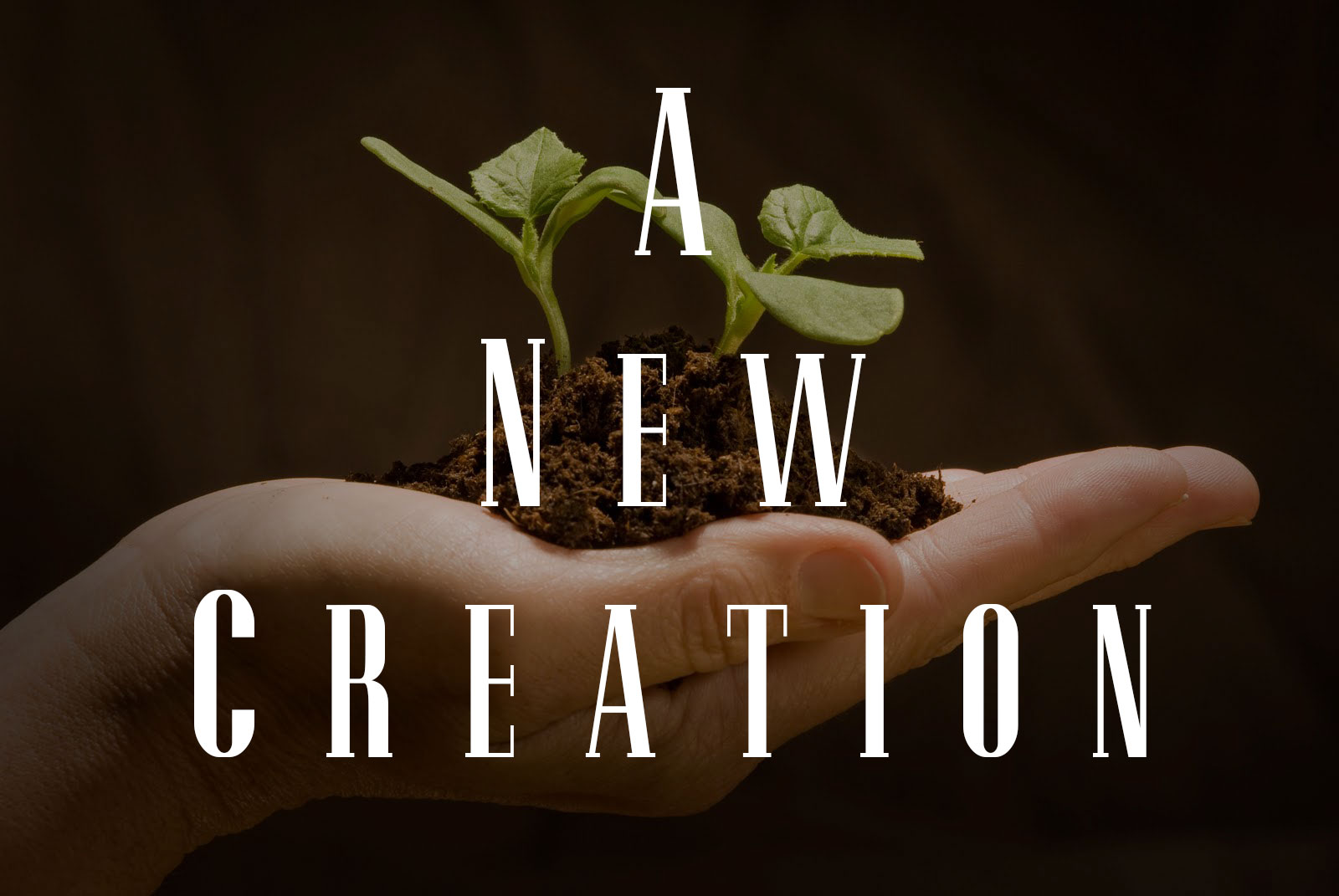 New Heavens and New Earth