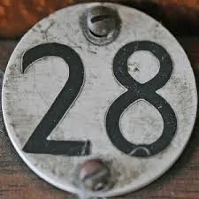 Day 28 of Advent - Luke 15:25-32