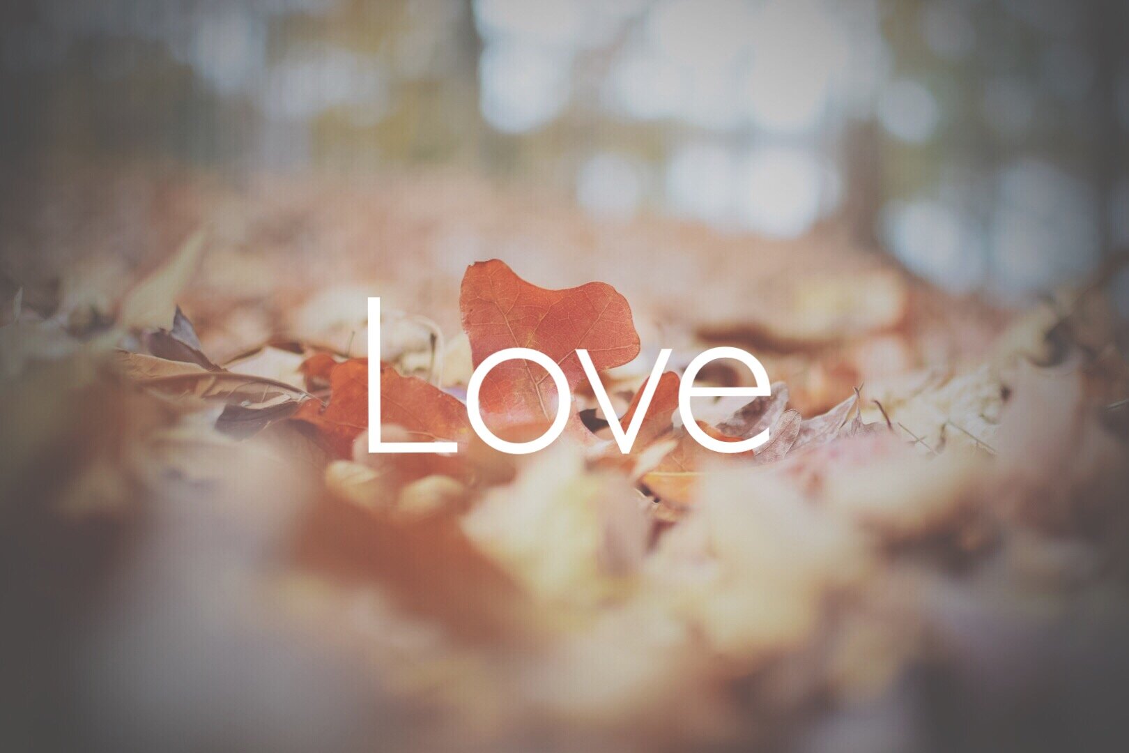 Advent - Waiting Births Love