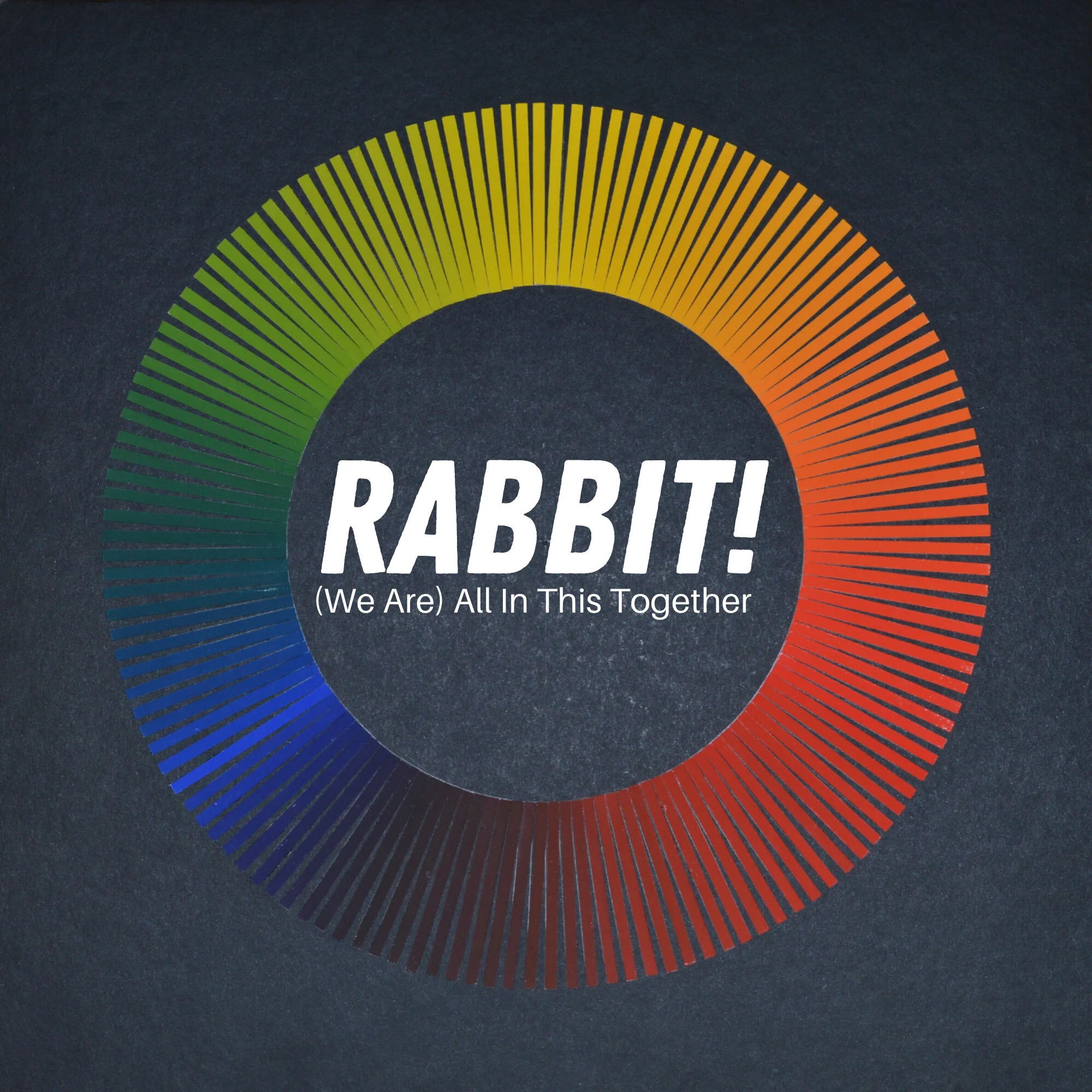 (We Are) All in This Together.jpg