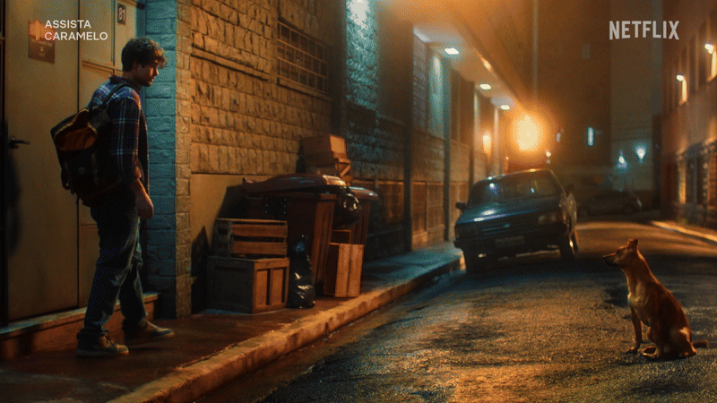 In the end?  No tears. Just every single dog finding a home.