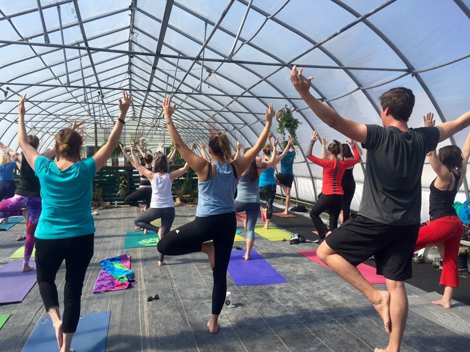 Murray's Garden Centre We host our Greenhouse Yoga classes at Murray's Garden Centre on Portugal Cove Road. This beautiful space is the perfect location for a zen experience! Learn more about Murray's at murraysgardens.com