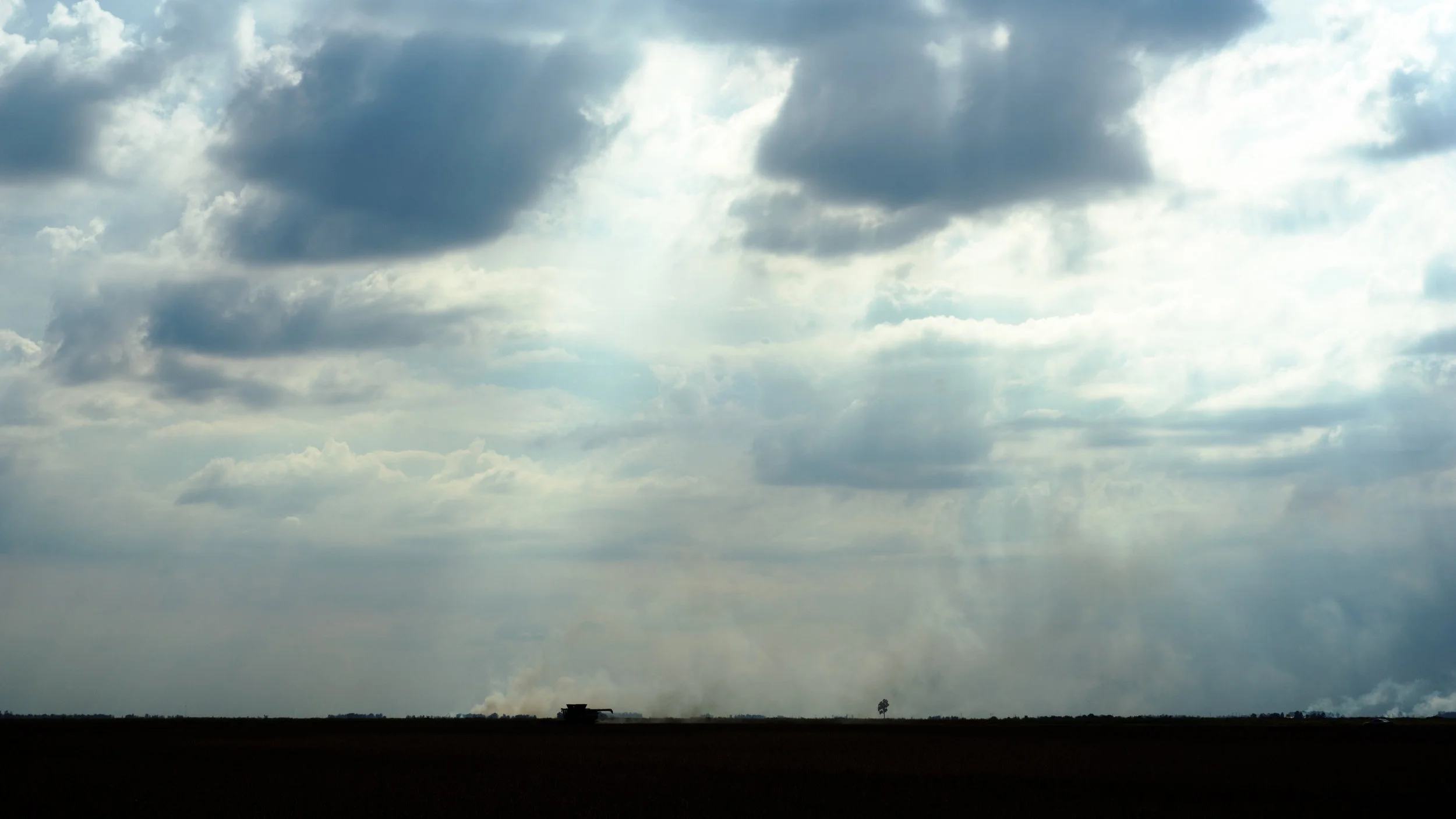 Horizon, near Osceola, AR, 2017