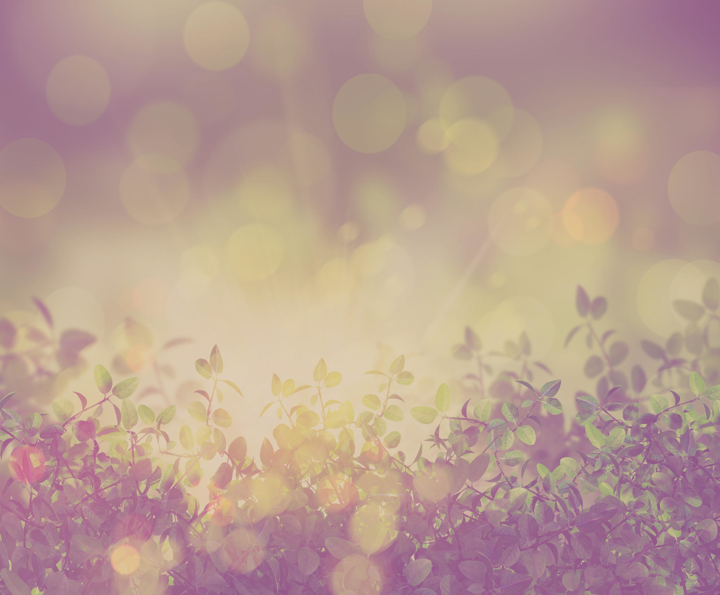 home-banner.jpg