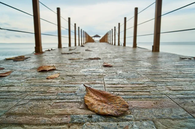 Image by engin akyurt from Pixabay
