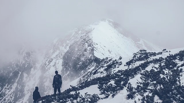 Image by Free-Photos from Pixabay 