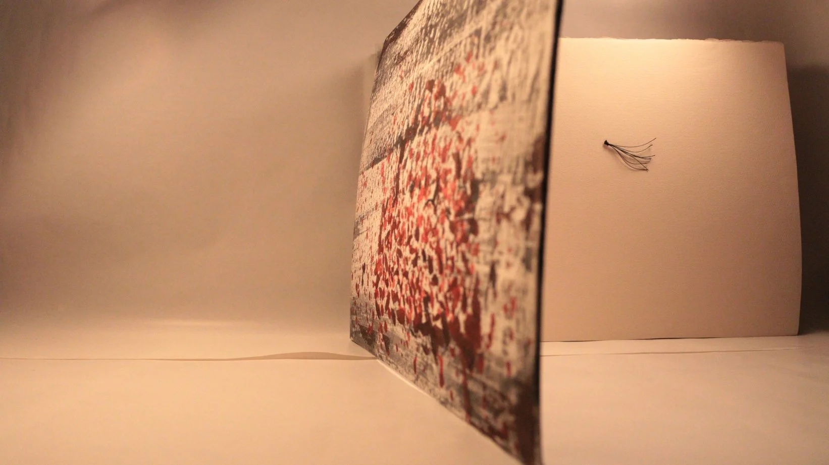 3 RUCHIKA WASON SINGH - The Cancer Diary- I.JPG