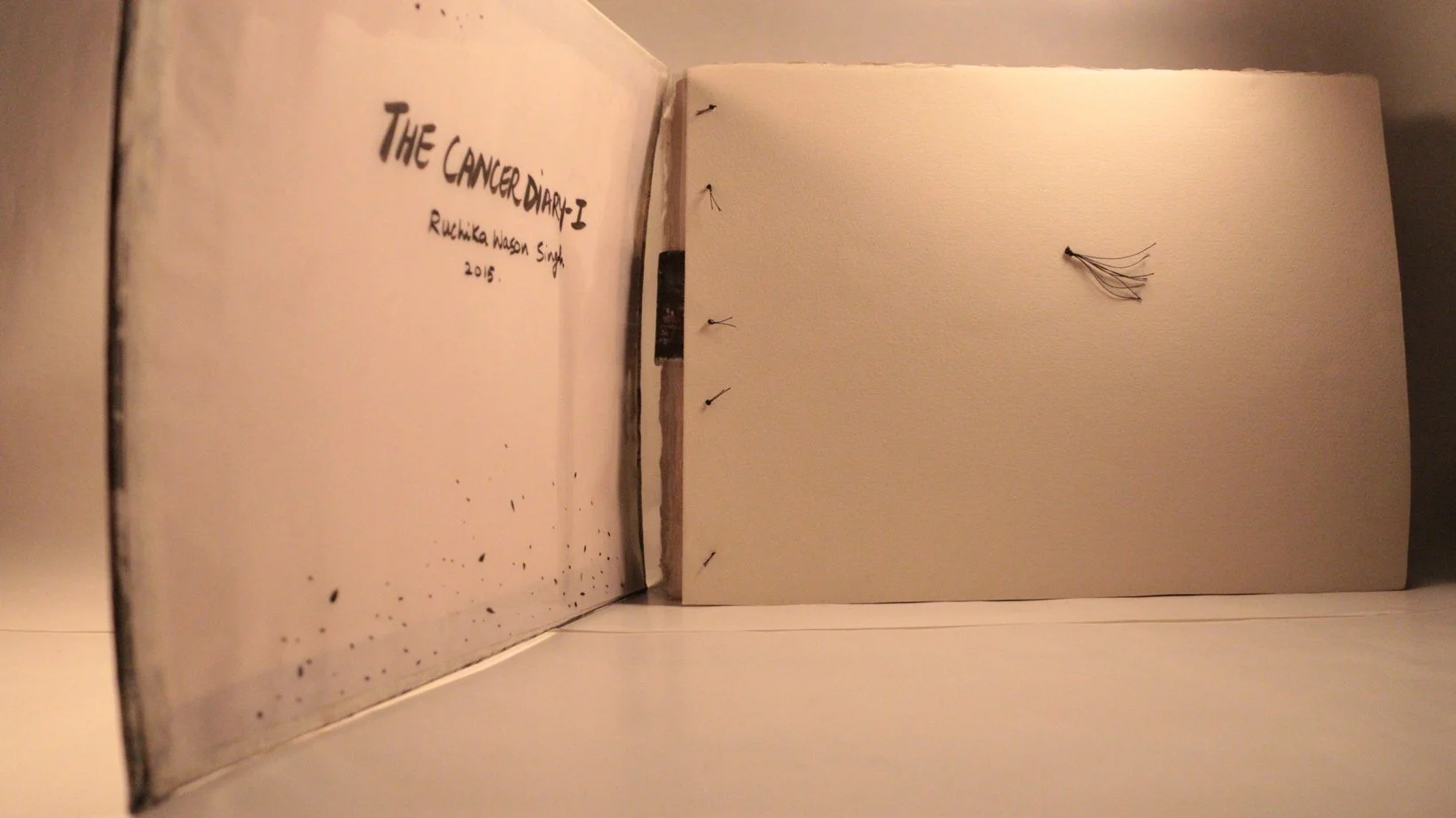 4 RUCHIKA WASON SINGH - The Cancer Diary- I.JPG