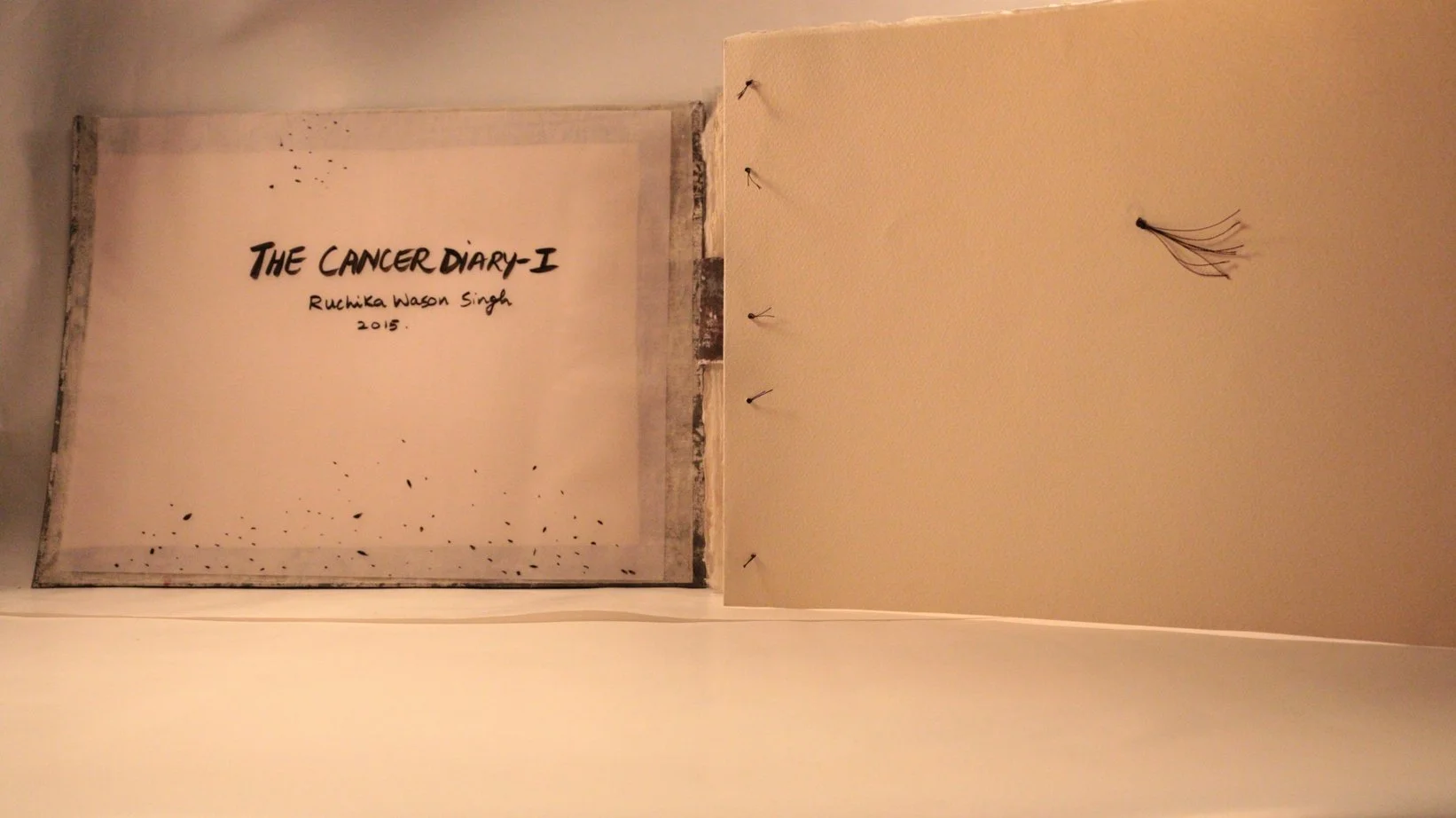 6 RUCHIKA WASON SINGH - The Cancer Diary- I.JPG