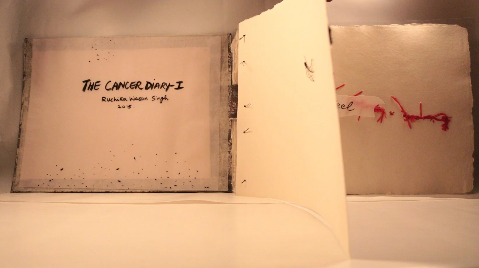 7 RUCHIKA WASON SINGH - The Cancer Diary- I.JPG