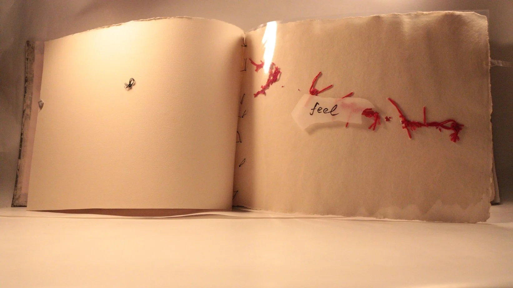 8 RUCHIKA WASON SINGH - The Cancer Diary- I.JPG