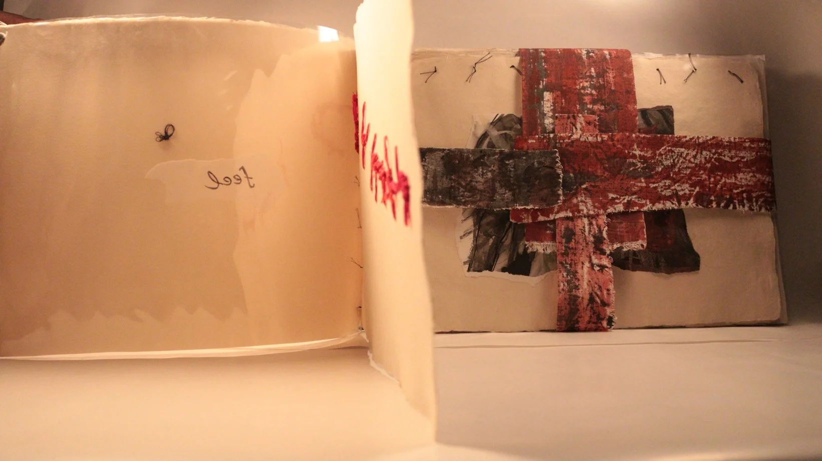 9 RUCHIKA WASON SINGH - The Cancer Diary- I.JPG