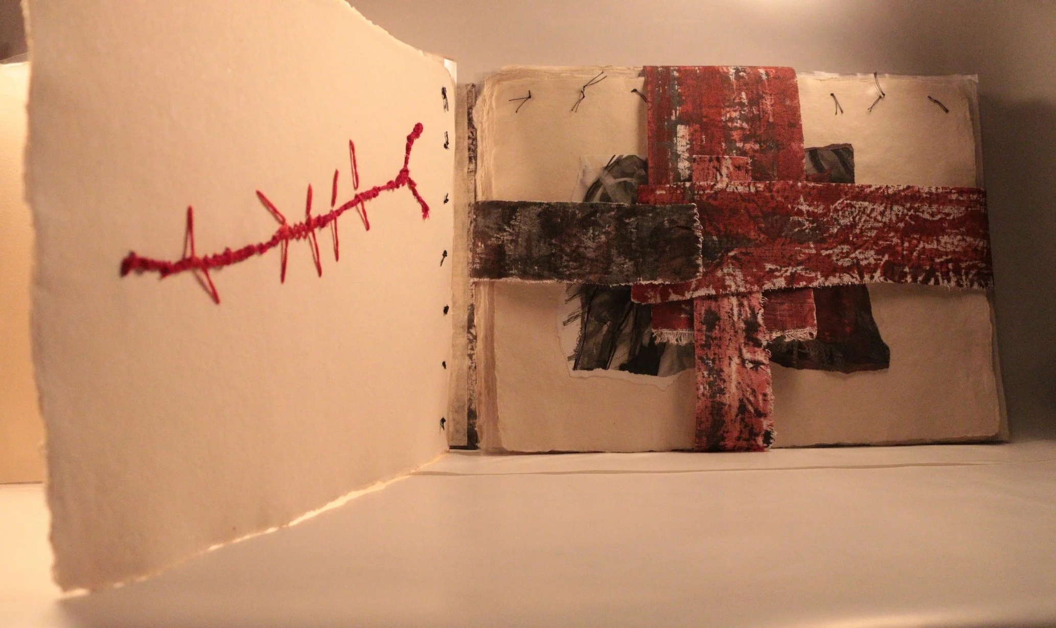 10 RUCHIKA WASON SINGH - The Cancer Diary- I.JPG