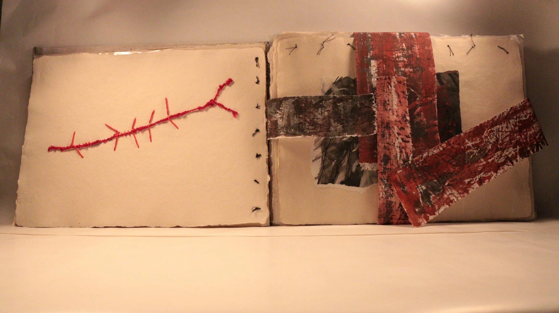 12 RUCHIKA WASON SINGH - The Cancer Diary- I.JPG