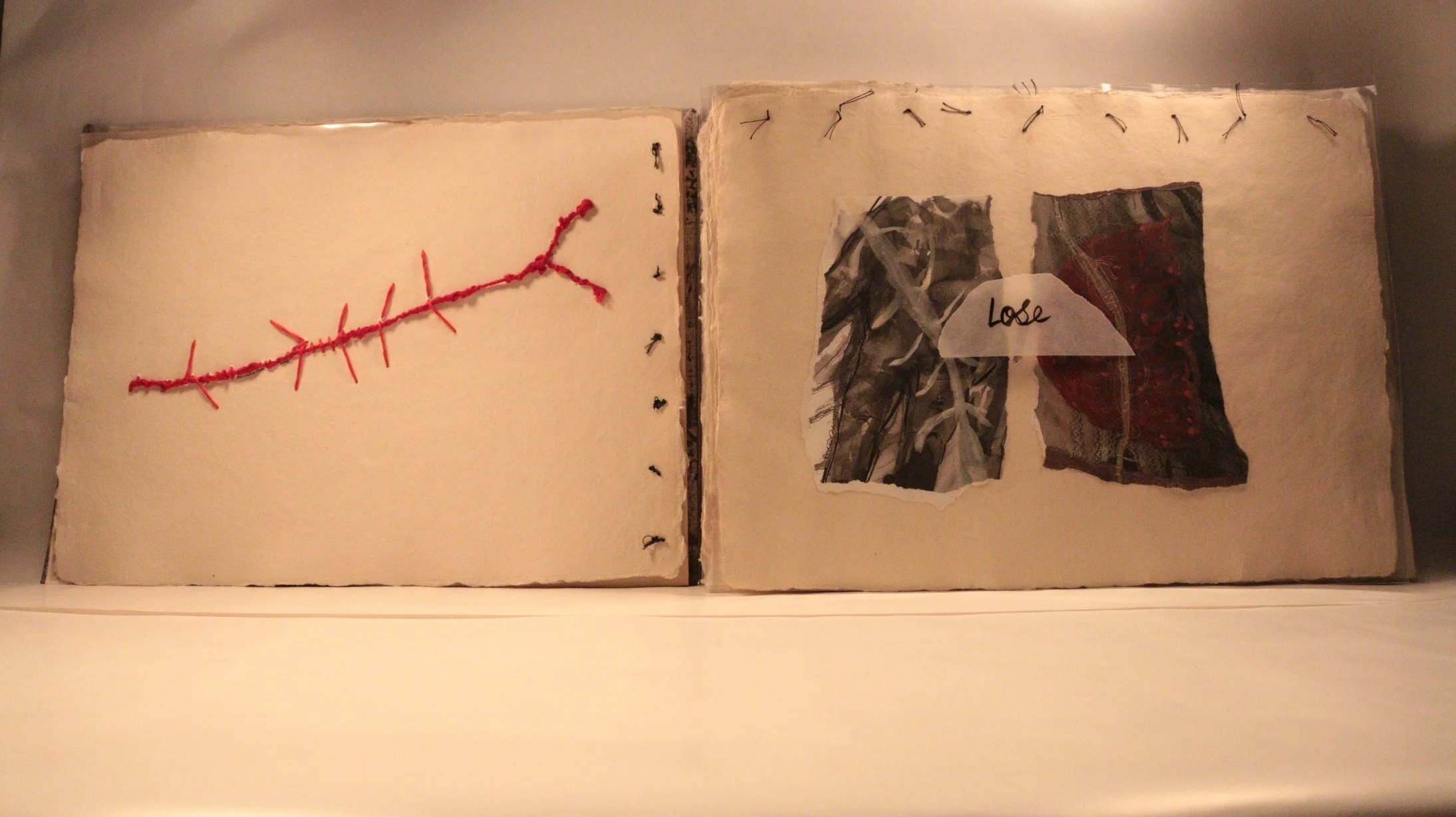 13 RUCHIKA WASON SINGH - The Cancer Diary- I.JPG