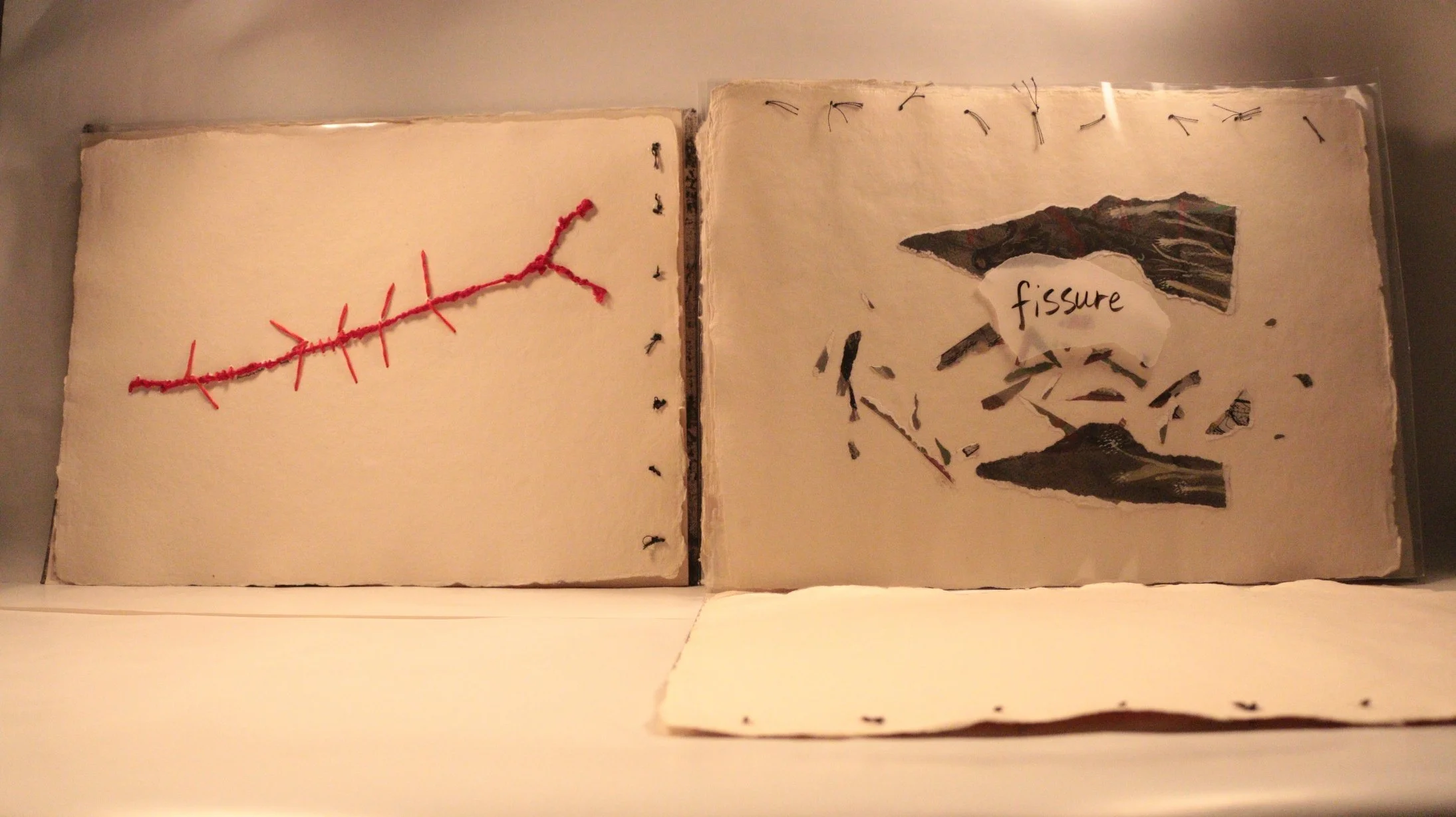 15 RUCHIKA WASON SINGH - The Cancer Diary- I.JPG