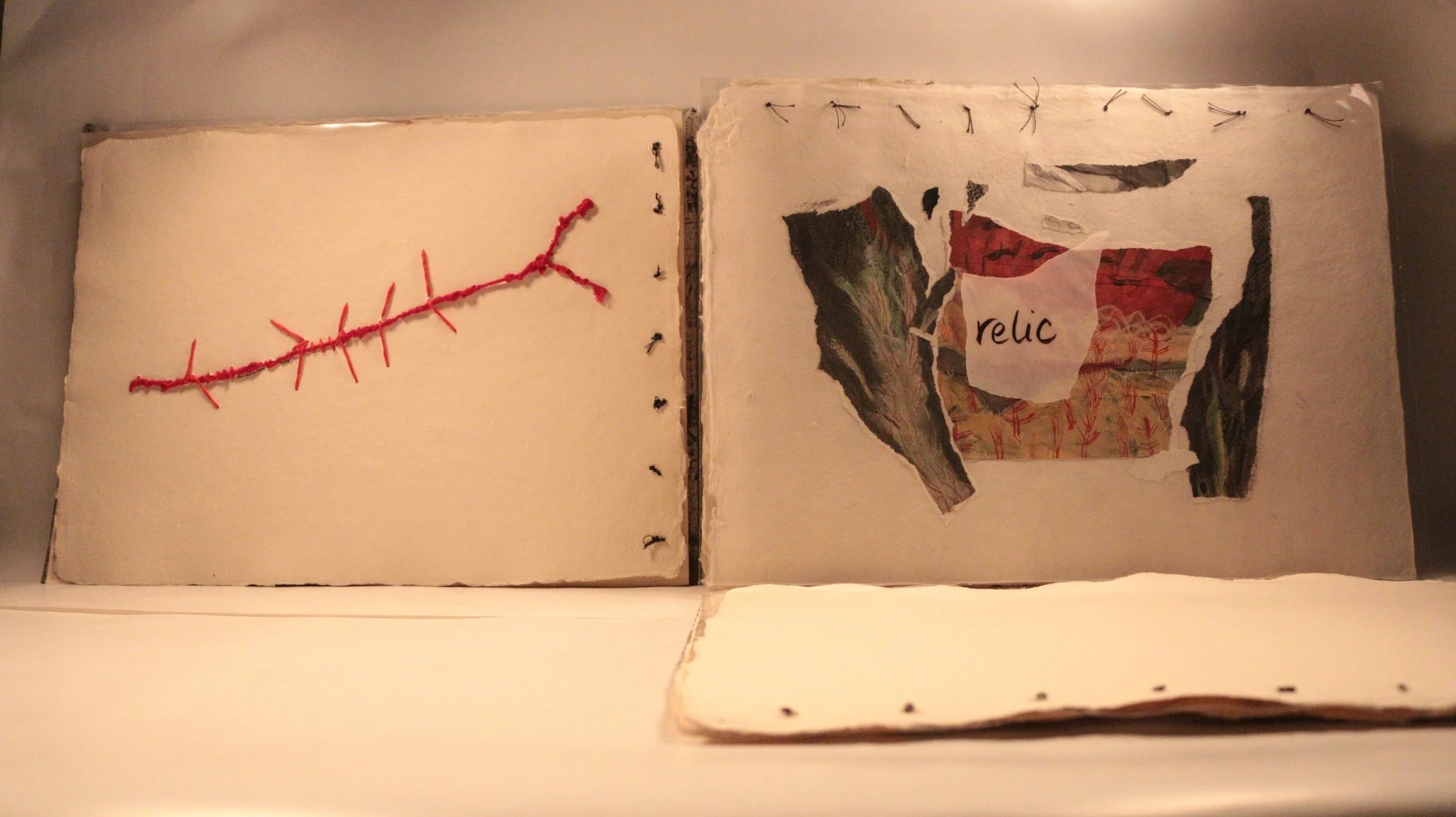 16 RUCHIKA WASON SINGH - The Cancer Diary- I.JPG