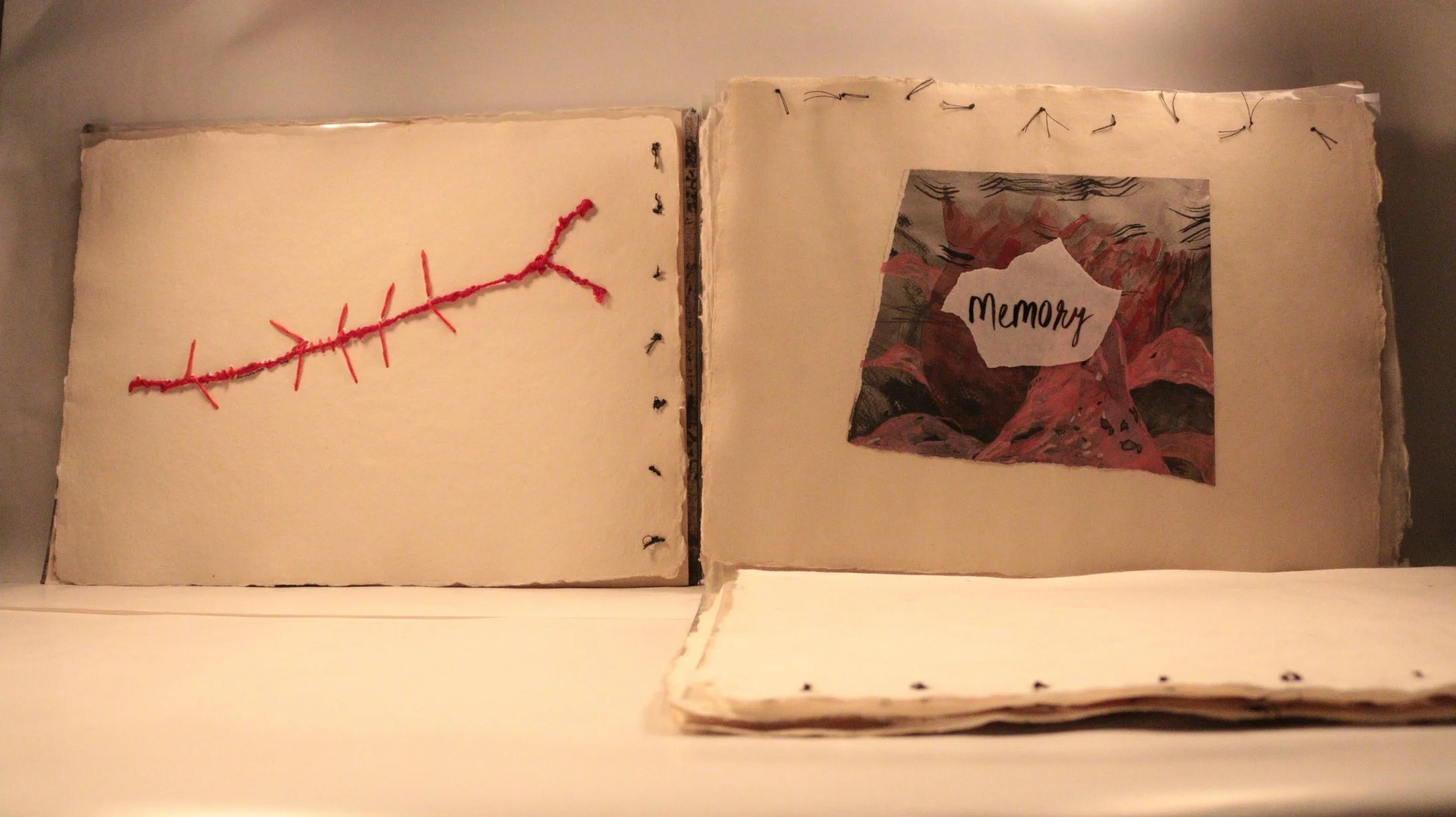 17 RUCHIKA WASON SINGH - The Cancer Diary- I.JPG