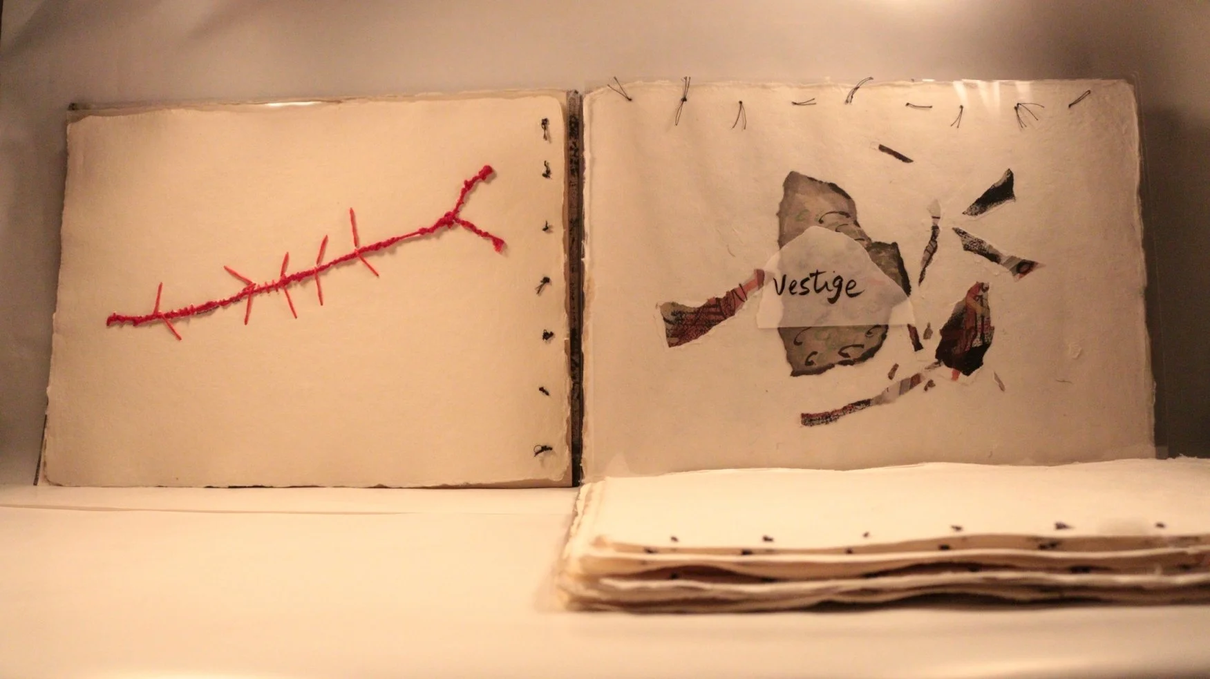 20 RUCHIKA WASON SINGH - The Cancer Diary- I.JPG