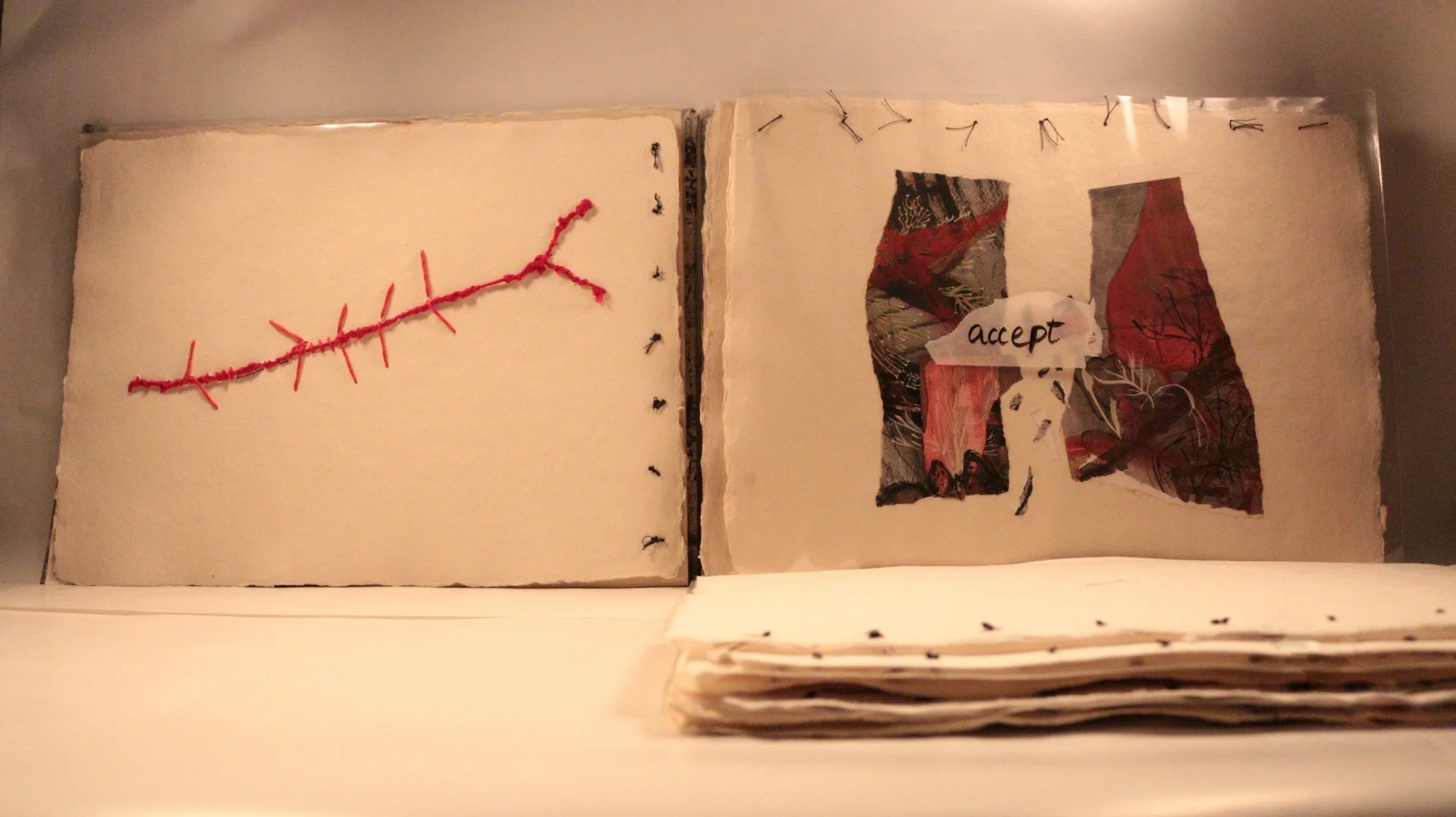 21 RUCHIKA WASON SINGH - The Cancer Diary- I.JPG