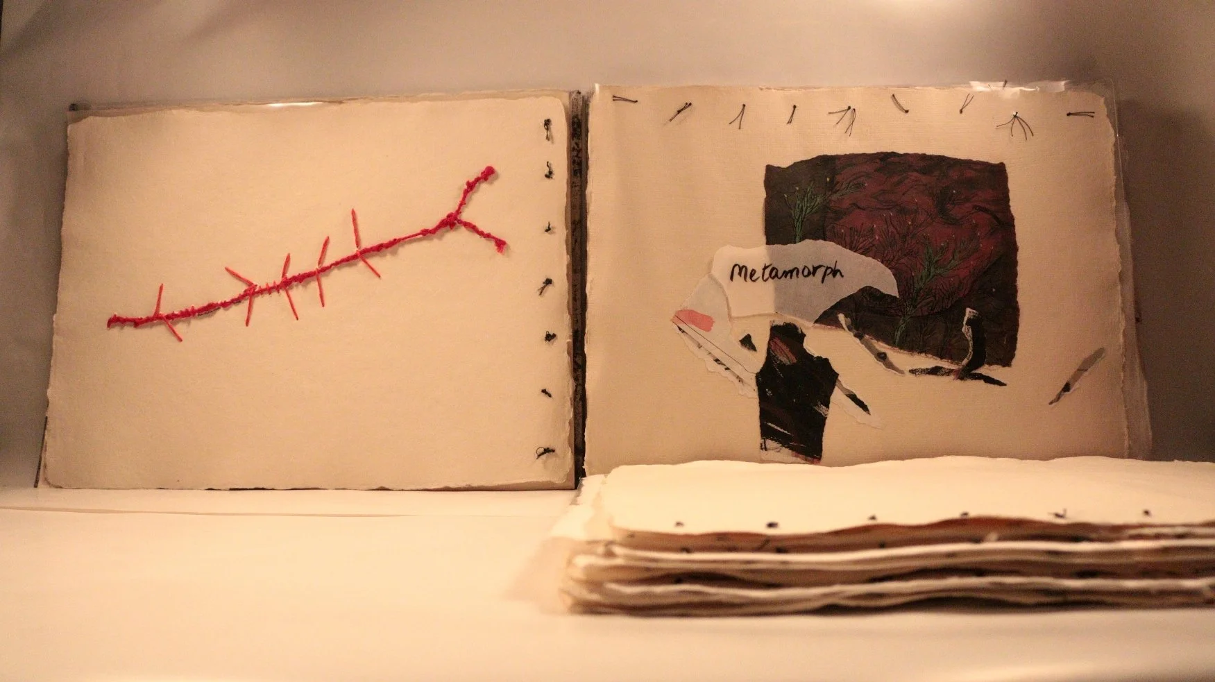 22 RUCHIKA WASON SINGH - The Cancer Diary- I.JPG