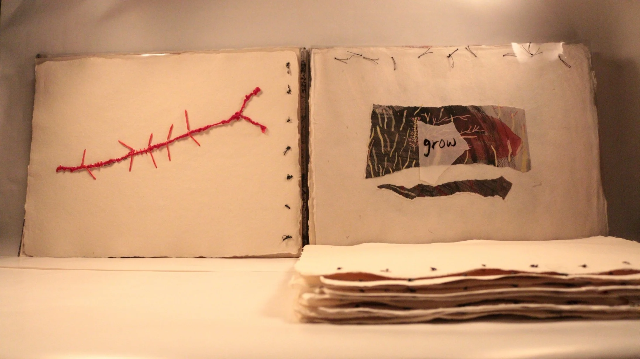 23 RUCHIKA WASON SINGH - The Cancer Diary- I.JPG