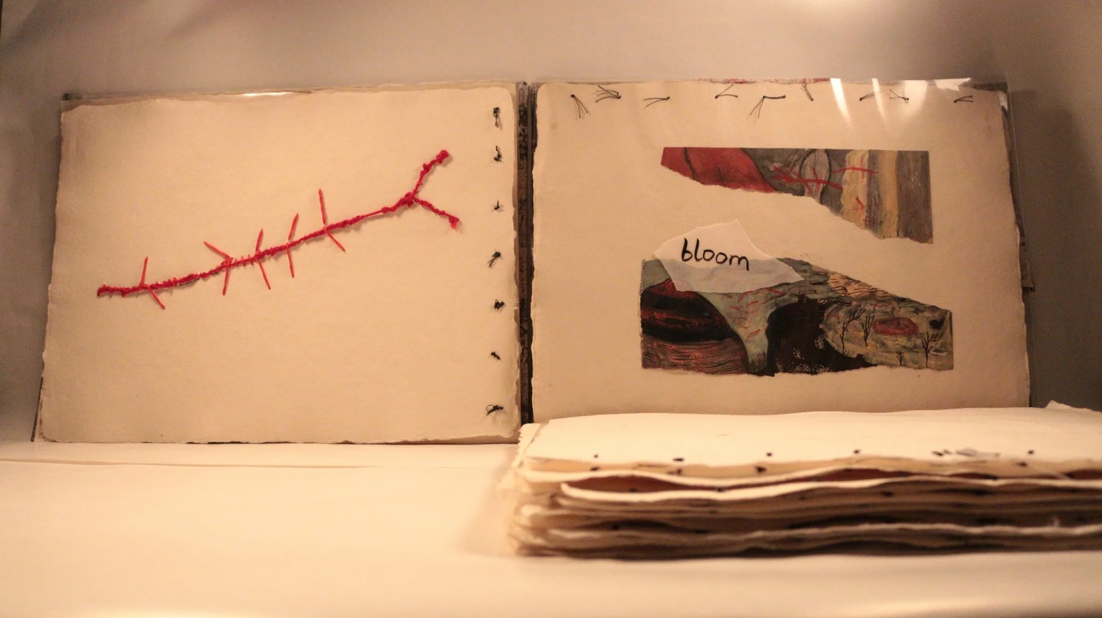 24 RUCHIKA WASON SINGH - The Cancer Diary- I.JPG