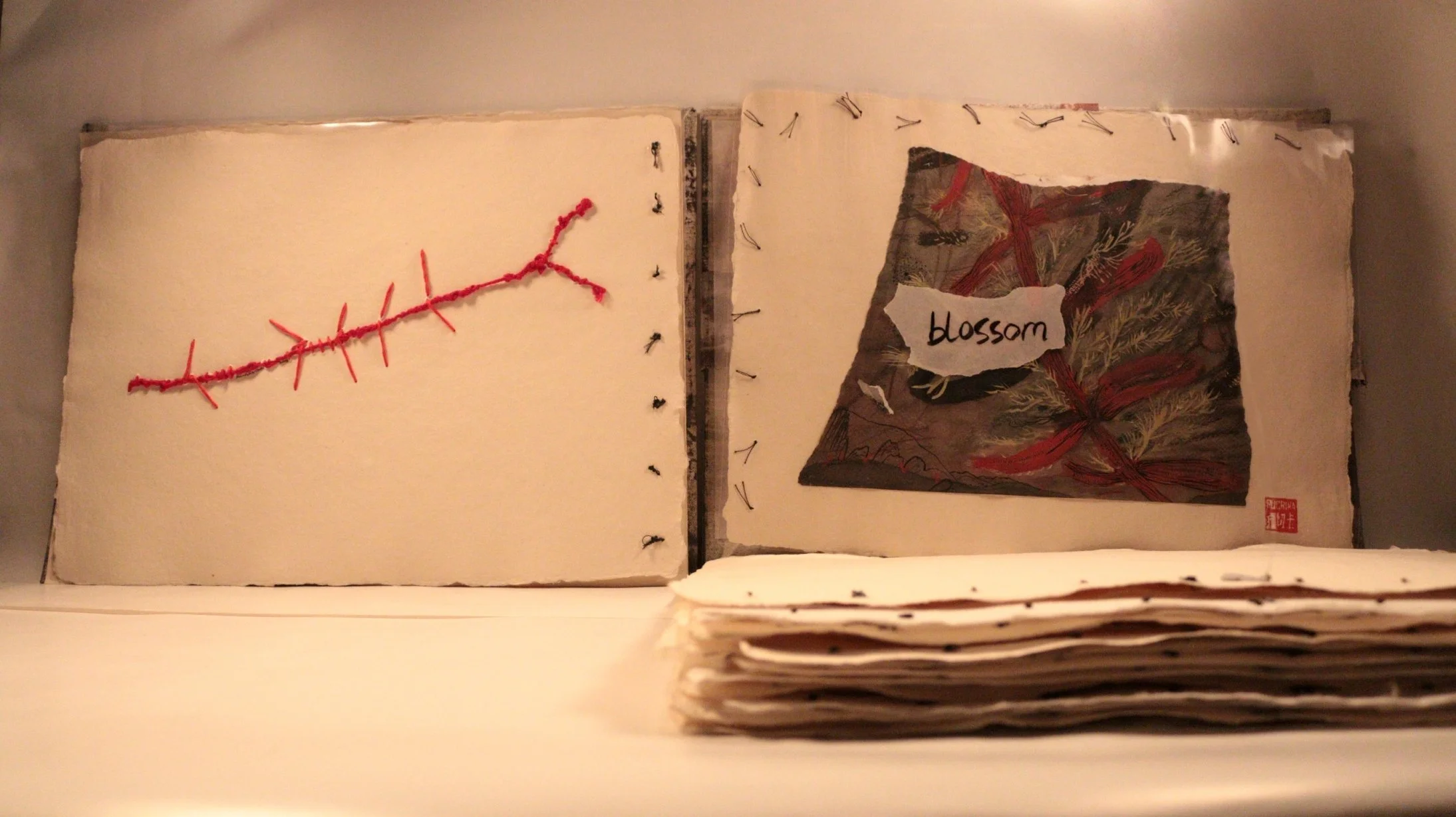 25 RUCHIKA WASON SINGH - The Cancer Diary- I.JPG