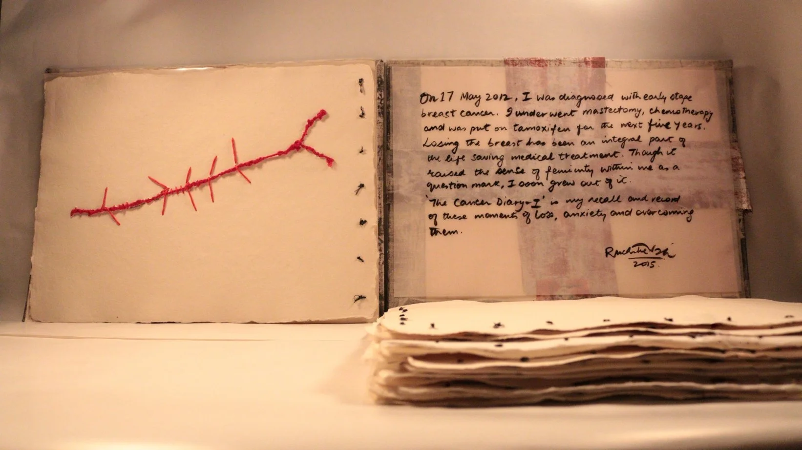 28 RUCHIKA WASON SINGH - The Cancer Diary- I.JPG