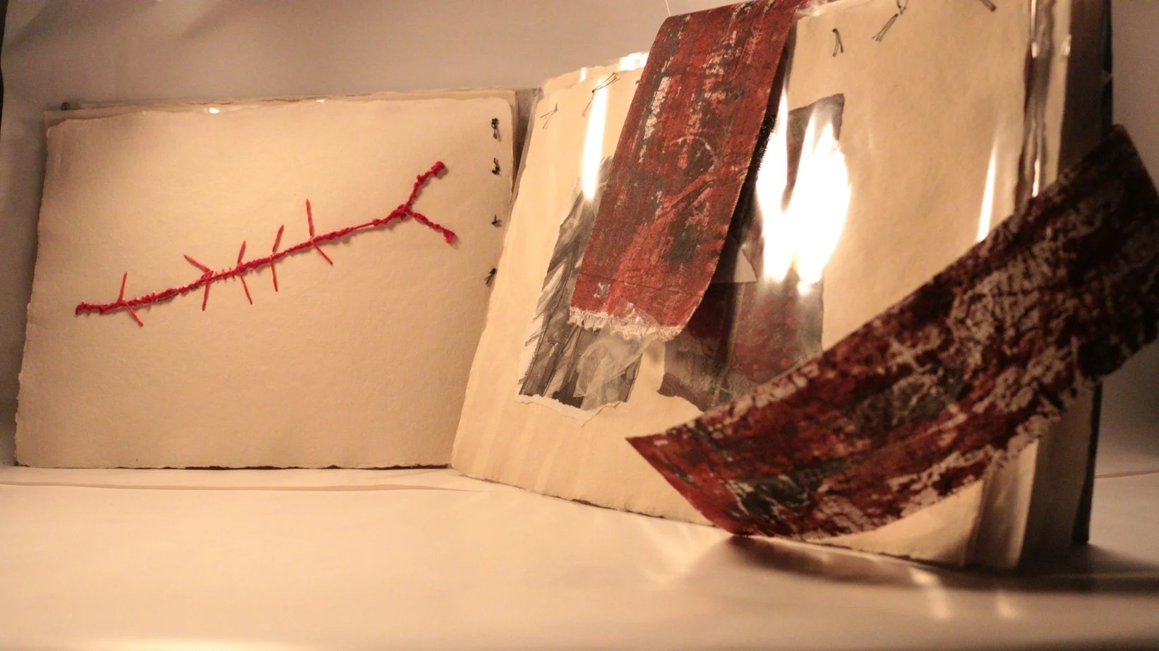 30 RUCHIKA WASON SINGH - The Cancer Diary- I.JPG