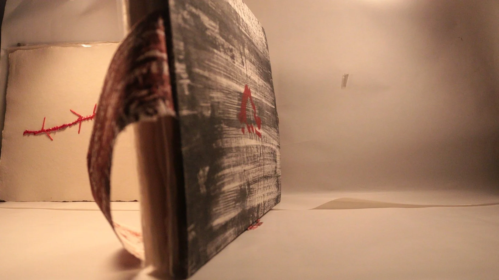 31 RUCHIKA WASON SINGH - The Cancer Diary- I.JPG