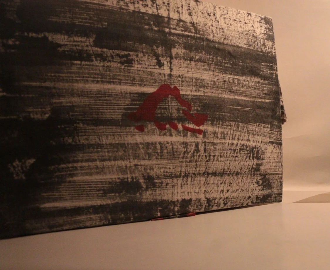 32 RUCHIKA WASON SINGH - The Cancer Diary- I.JPG