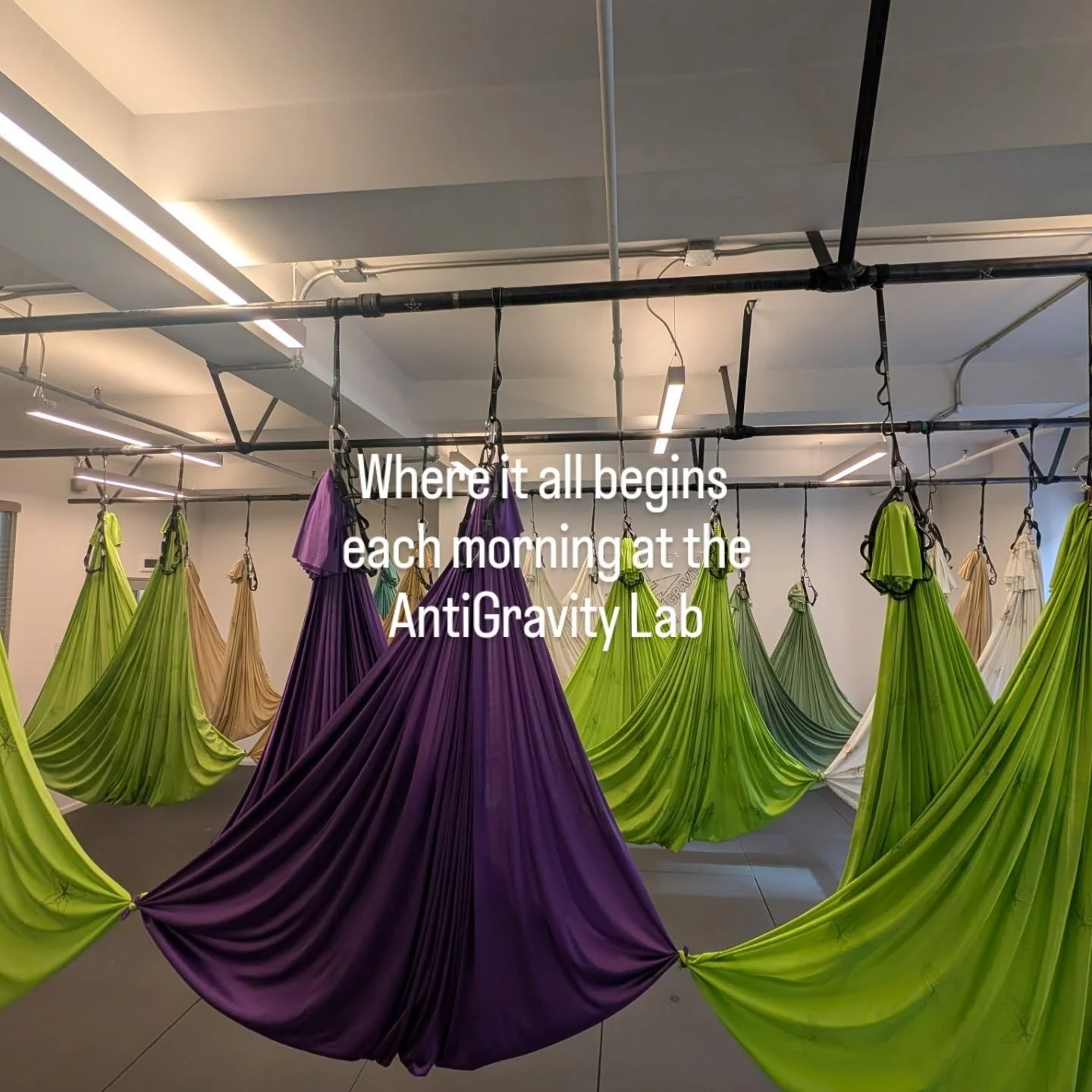 Fly High at the AntiGravity Lab! We're ready to turn you upside down 🤸