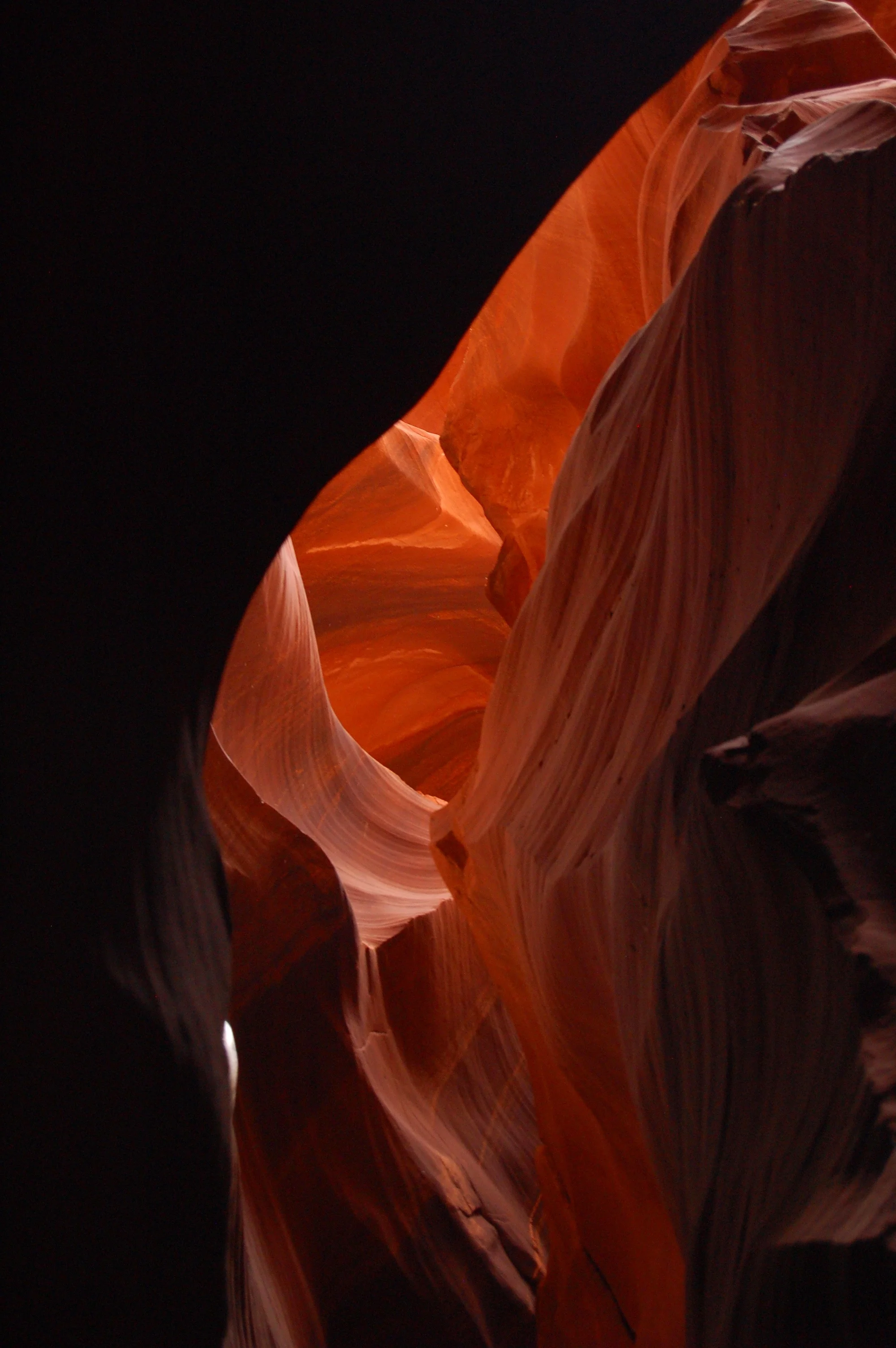 Riesling i orange rober