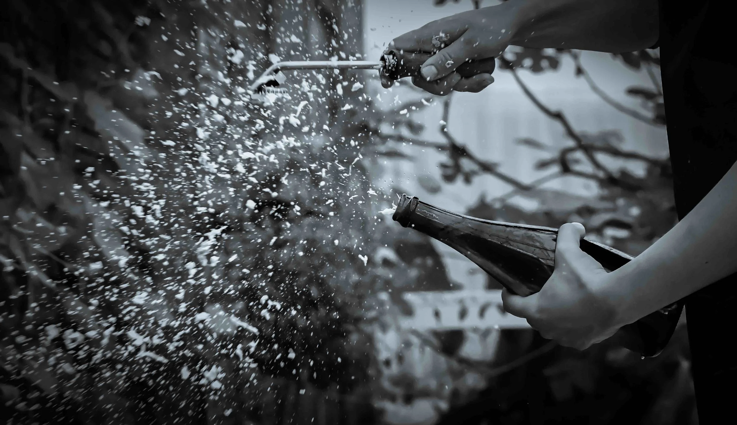 Dons — dansk terroir